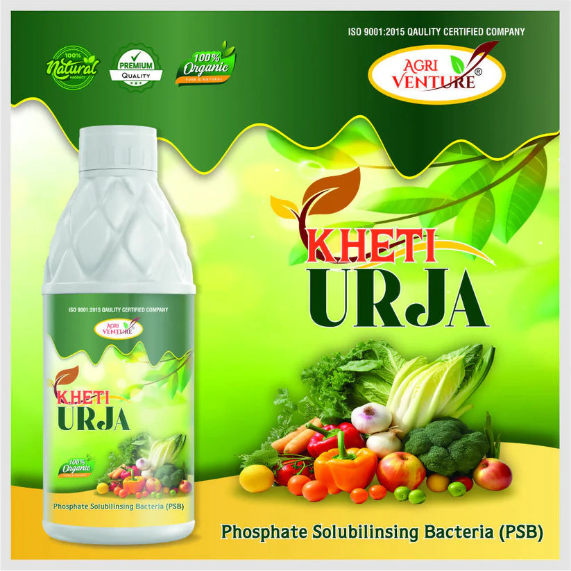 AgriVenture KHETI URJA ( PSB Phosphate Solubilizing Bacteria ) Bactericide Organic Product BIO FIRTILIZERS (1Ltr) -Gardening