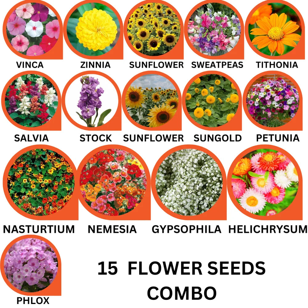 15 Flower Seeds Combo Pack - Flower Seed Combo