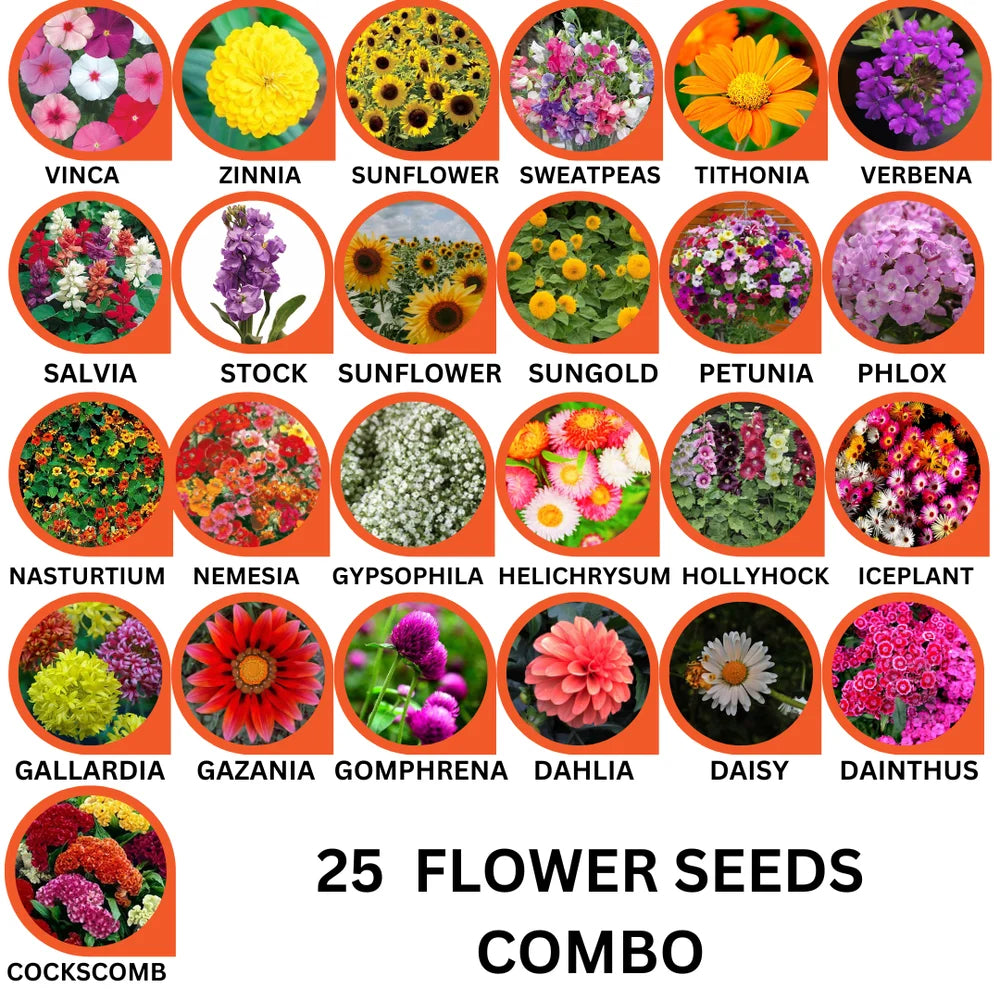 25 Flower Seeds Combo Pack - Flower Seed Combo