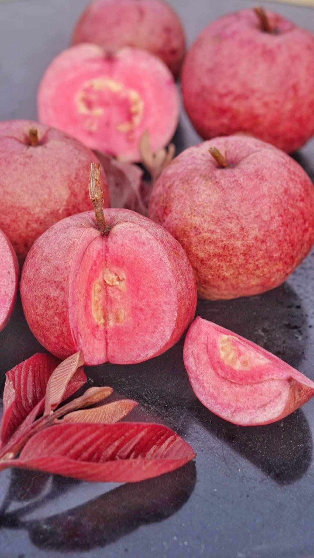 Black Diamond Guava Fruit Plant: Dark Skin, Pink-Red Juicy Sweet Flesh