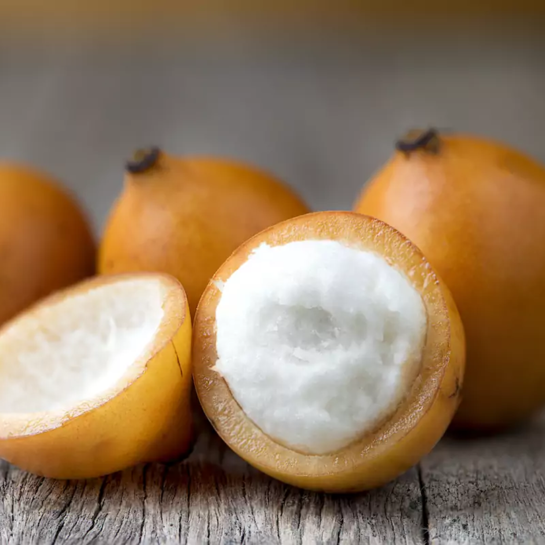 Achachairu - Garcinia humilis - Hybrid Fruit Plant