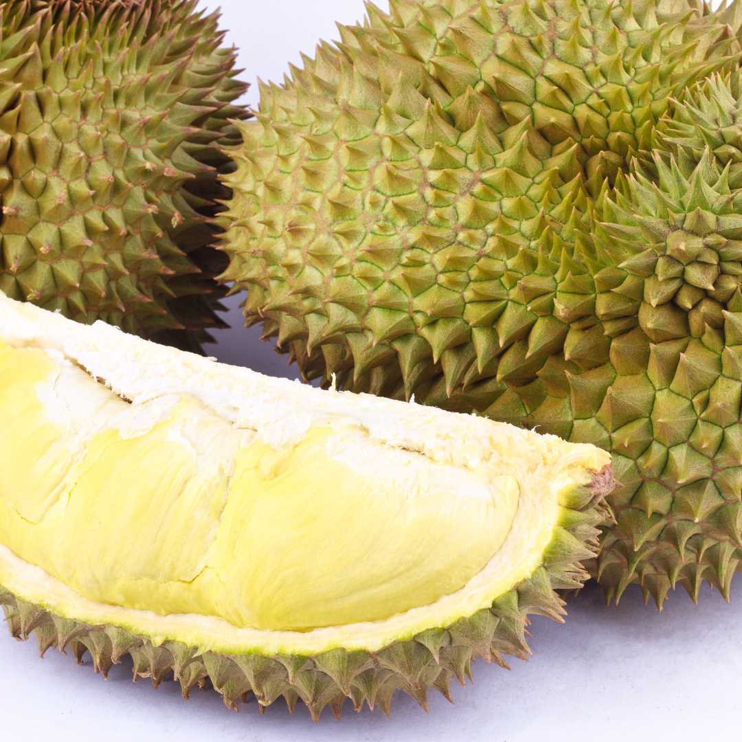 Durian - Mon Thong - Fruit Plant