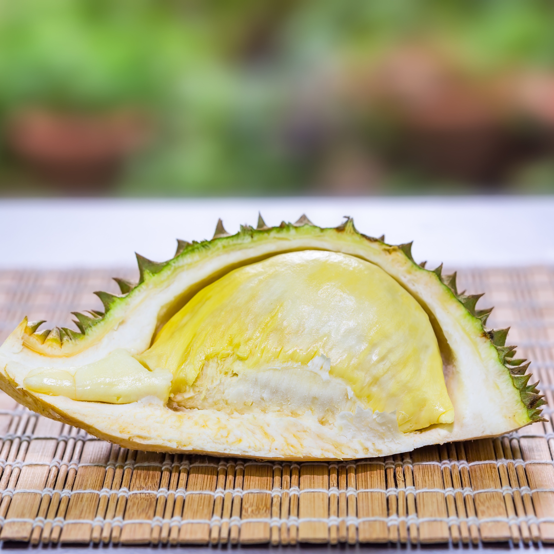 Durian - Mon Thong - Fruit Plant
