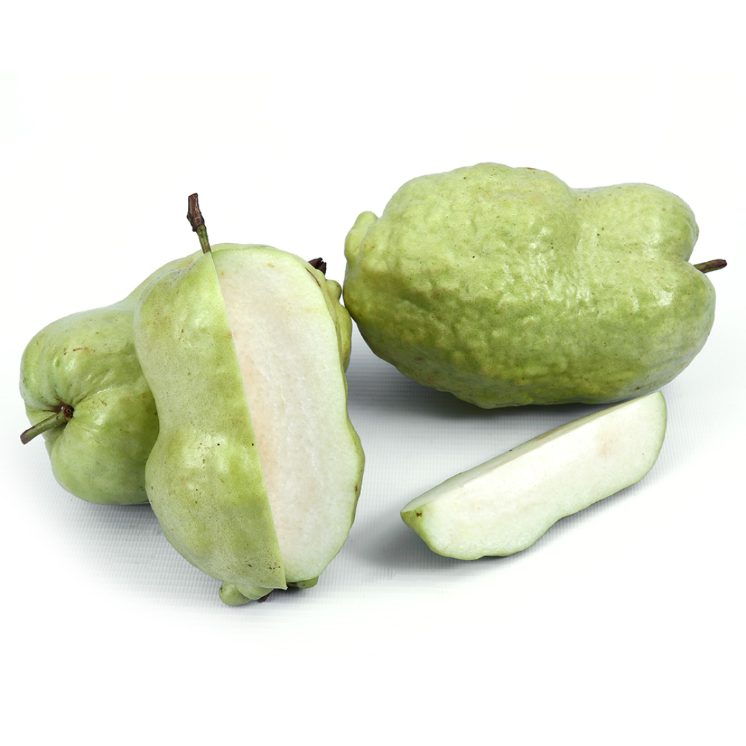 Indonesian Seedless Guava Hybrid Fruit Plant - Healthy Live Plant in Polybag