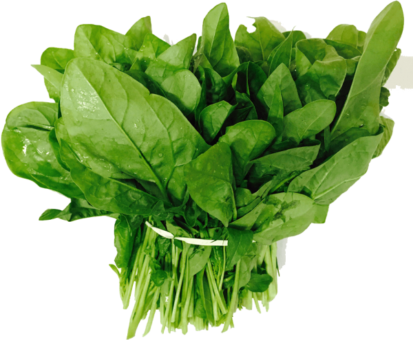 Spinach ‘All Green’ – Premium Leafy Vegetable Seeds (High Yield & Fast Growing) -Vegetable Seeds