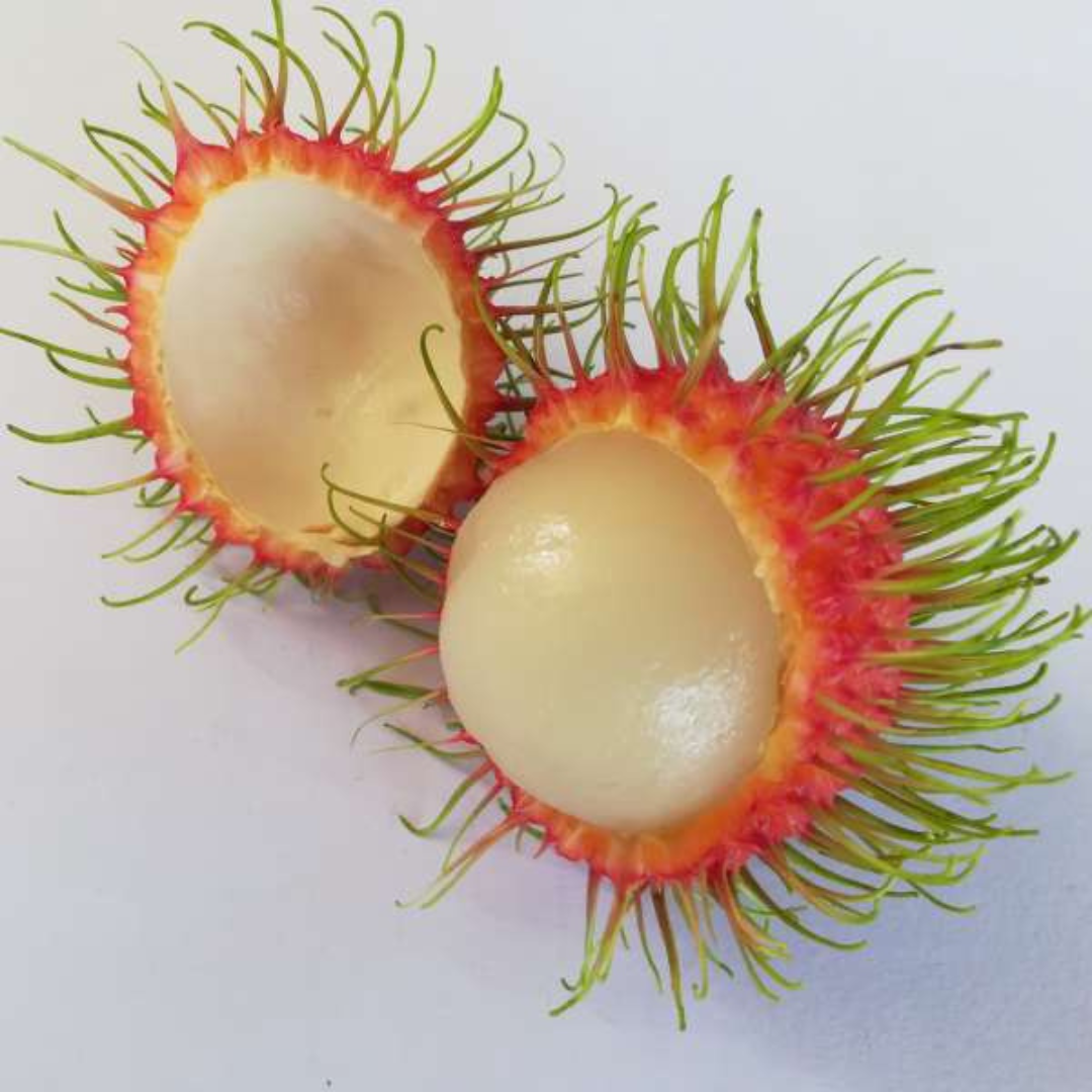 Rambutan Jarum Emas: Sweet, High-Yielding, Red-Skinned Hybrid Fruit Plant