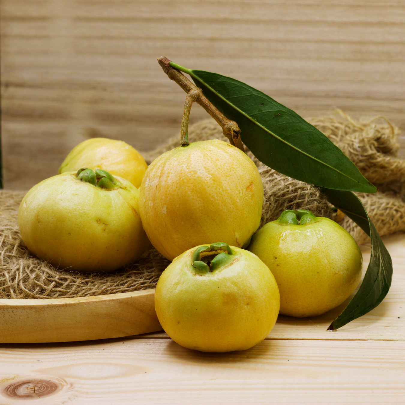 Rose Apple / Panineer Champa  - Syzygium jambos Fruit Plant