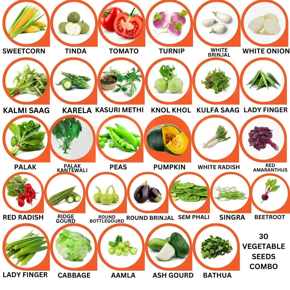 30 Vegetable Combo Pack -Vegetable Seeds Combo
