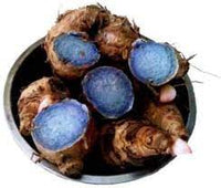 Black Turmeric, Nalla Pasupu, Karu Manjal, Mother Rhizoms of Curcuma Caesia Seed (300 GM)  Grocery