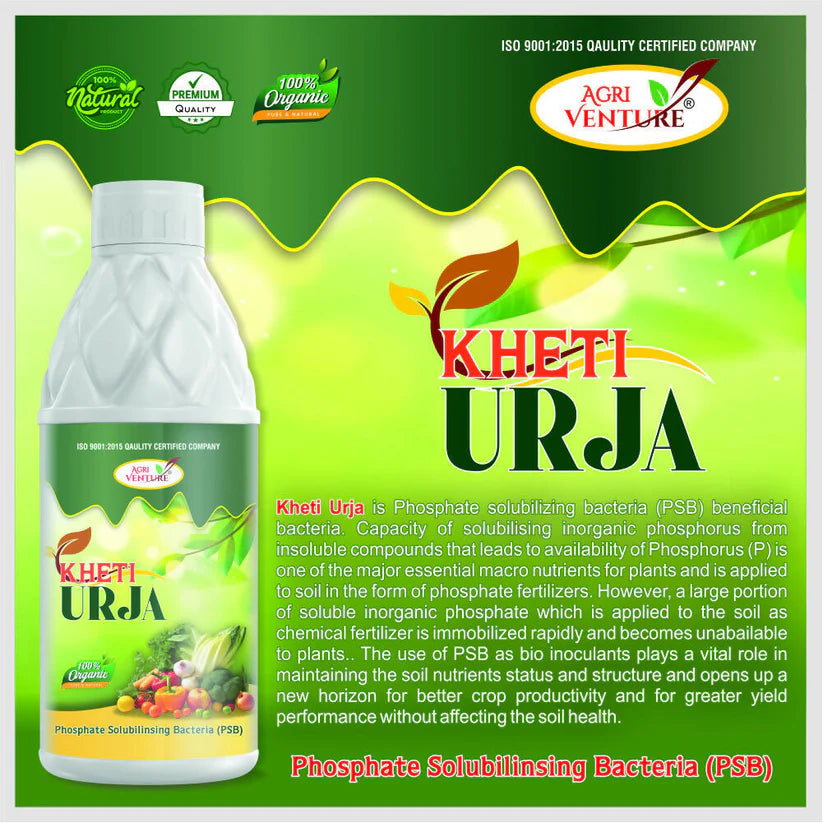 AgriVenture KHETI URJA ( PSB Phosphate Solubilizing Bacteria ) Bactericide Organic Product BIO FIRTILIZERS (1Ltr) -Gardening
