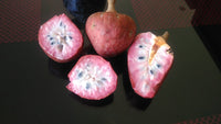 Custard Apple - Annona reticulata Fruit Plant