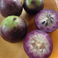 Milkfruit - Chrysophyllum cainito Fruit Plant