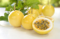 Yellow Passionfruit - Passiflora edulis Fruit Plant
