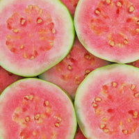Hybrid Guava - Taiwan pink Guava Exotic Fruit Plant