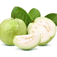 Hybrid Guava - Taiwan White Guava Exotic Fruit Plant