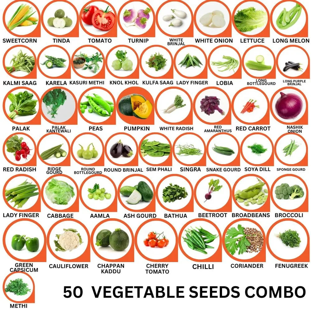 Vegetable Seeds Combo