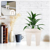 Riding Pot Bling Decor Creative Flowerpot Balcony Flower Pot Holder (1 Pc / MOQ :- 2 Pc) -Gardening