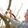 15 Inch Mini Pruning Folding Saw (1 Pc) -Gardening
