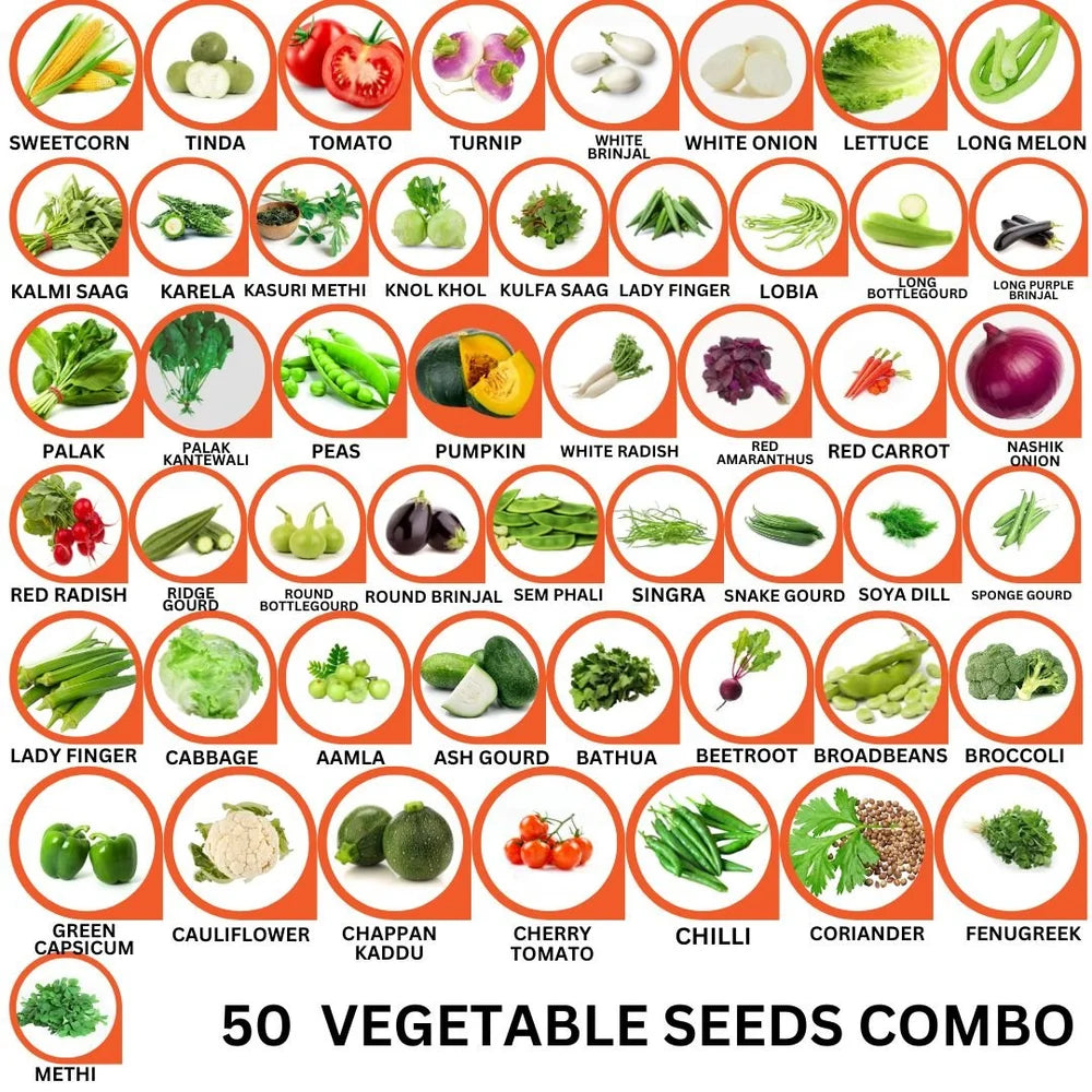 50 Vegetable Seeds Combo Pack -Vegetable Seeds Combo