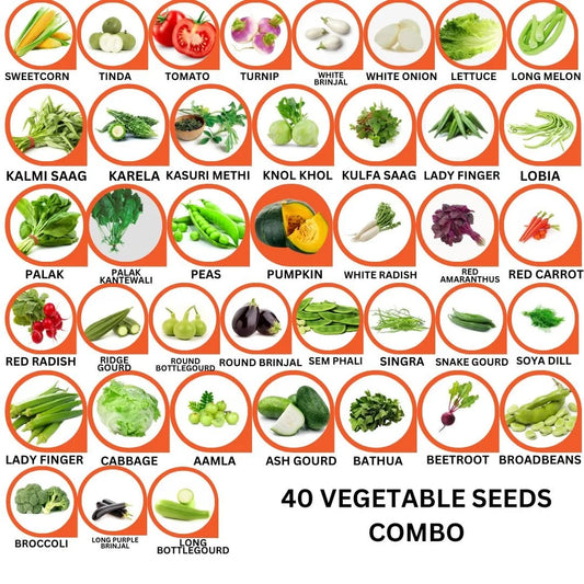 40 Vegetable Seeds Combo Pack -Vegetable Seeds Combo