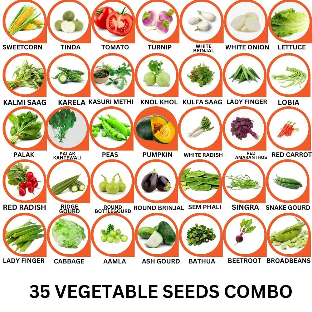 35 Vegetable Seeds Combo Pack -Vegetable Seeds Combo