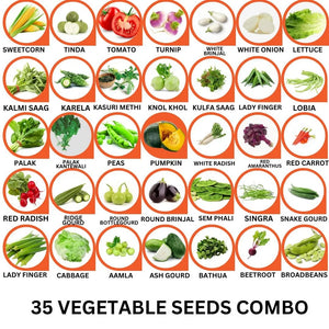 35 Vegetable Seeds Combo Pack -Vegetable Seeds Combo