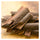 Cinnamon Sticks | Aromatic Whole Dalchini Bark | Traditional Spice for Masala Chai, Biryani, Payasam, Curries and Sweet Dishes (100 Gram) - Spices