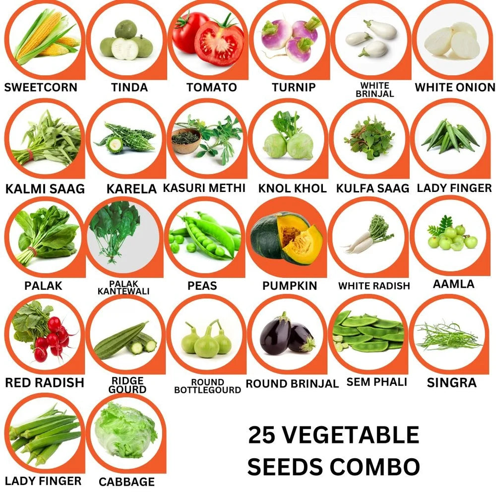 25 Vegetable Seeds Combo Pack -Vegetable Seeds Combo