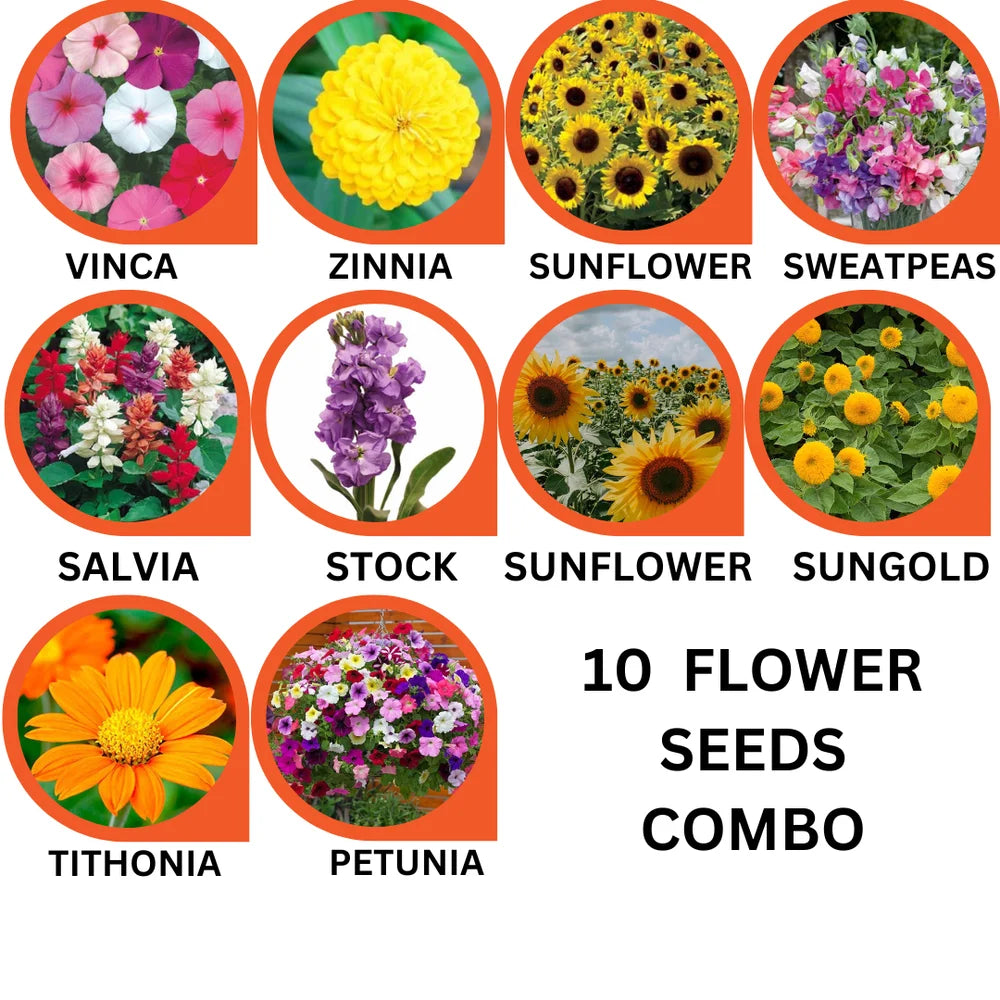 10 Flower Seeds Combo Pack - Flower Seed Combo