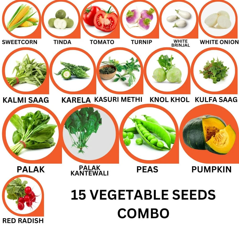 15 Vegetable Seeds Combo -Vegetable Seeds Combo