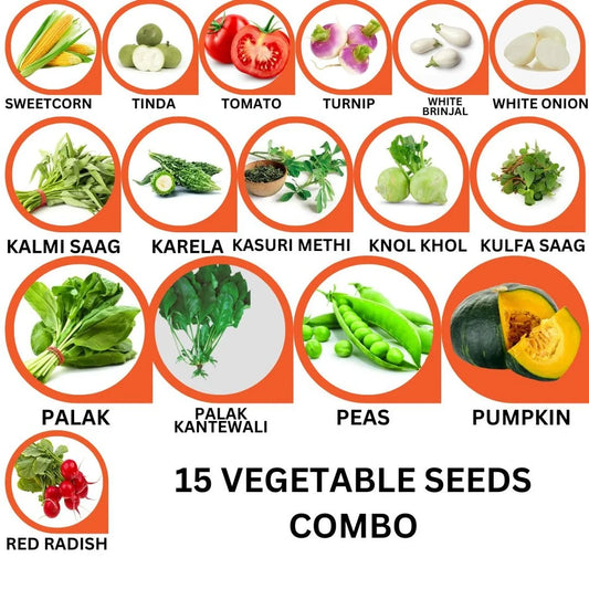 15 Vegetable Seeds Combo -Vegetable Seeds Combo