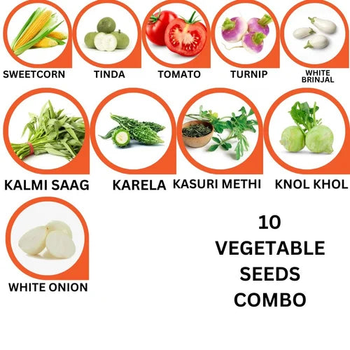 10 Vegetable Seeds Combo -Vegetable Seeds Combo