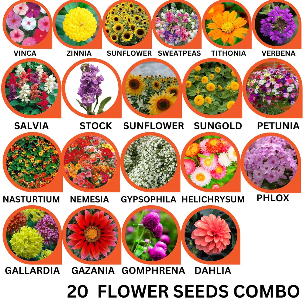 20 Flower Seeds Combo Pack - Flower Seed Combo