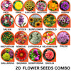 20 Flower Seeds Combo Pack - Flower Seed Combo