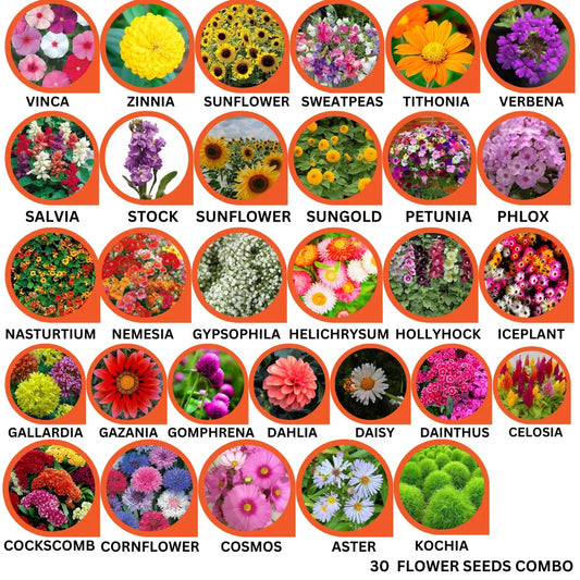 30 Flower Seeds Combo Pack - Flower Seed Combo