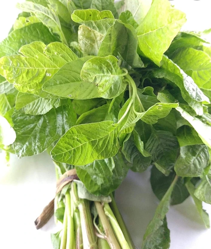 ARKA Samraksha -TFL Veg.AMARANTH Hybrid -Vegetable Seeds