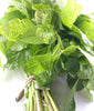 ARKA Samraksha -TFL Veg.AMARANTH Hybrid -Vegetable Seeds
