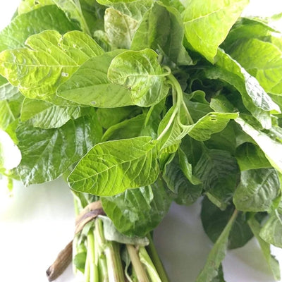 ARKA Samraksha -TFL Veg.AMARANTH Hybrid -Vegetable Seeds