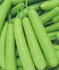 🥒 Bottle Gourd (Lauki / Ghiya) Long Hybrid Seeds – Pack of 20 - Vegetable Seeds