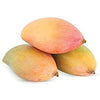 Mango Plant (Totapuri) ) Live Mango 1 Plant (Mangifera indica) – Grafted Variety  -Fruit Plants