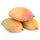 Mango Plant (Totapuri) ) Live Mango 1 Plant (Mangifera indica) – Grafted Variety  -Fruit Plants