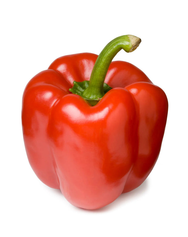 Organic Capsicum Red F1 Hybrid seeds- Open Pollinated 10 seeds-vegetable seeds