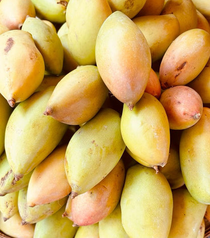Mango Plant (Totapuri) ) Live Mango 1 Plant (Mangifera indica) – Grafted Variety  -Fruit Plants