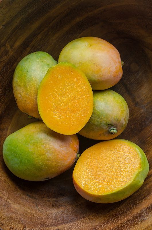 Mango Plant (Kesar) Live Mango 1 Plant (Mangifera indica) – Grafted Variety  -Fruit Plants