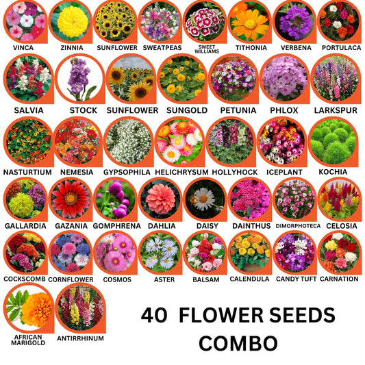40 Flower Seeds Combo Pack - Flower Seed Combo
