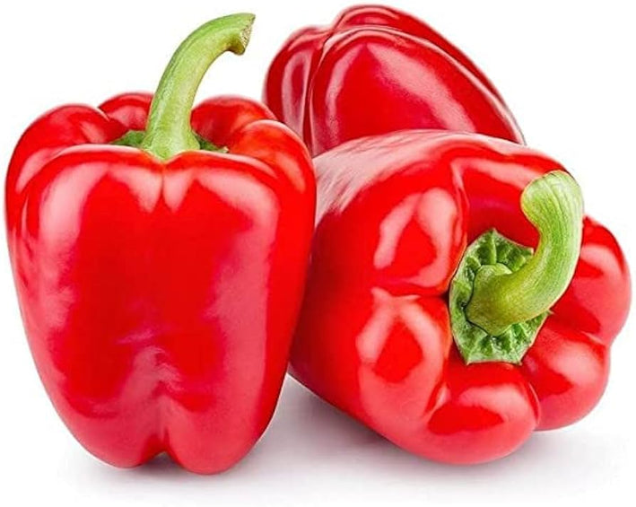 Organic Capsicum Red F1 Hybrid seeds- Open Pollinated 10 seeds-vegetable seeds