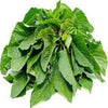 ARKA Suguna -TFL Veg.AMARANTH Hybrid -Vegetable Seeds