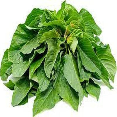 ARKA Suguna -TFL Veg.AMARANTH Hybrid -Vegetable Seeds
