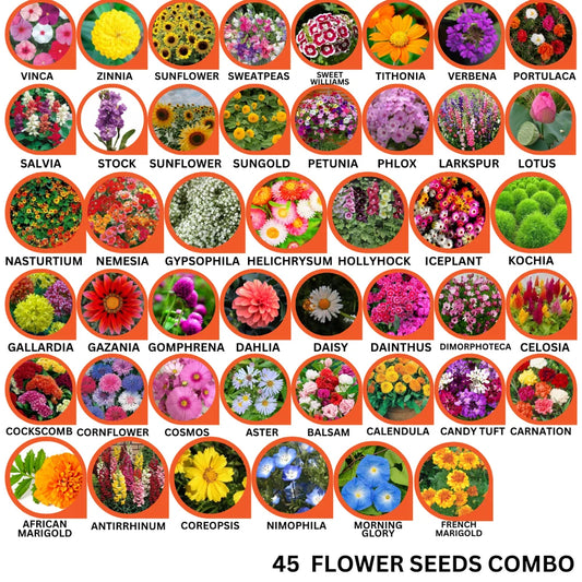 45 Flower Seeds Combo Pack - Flower Seed Combo
