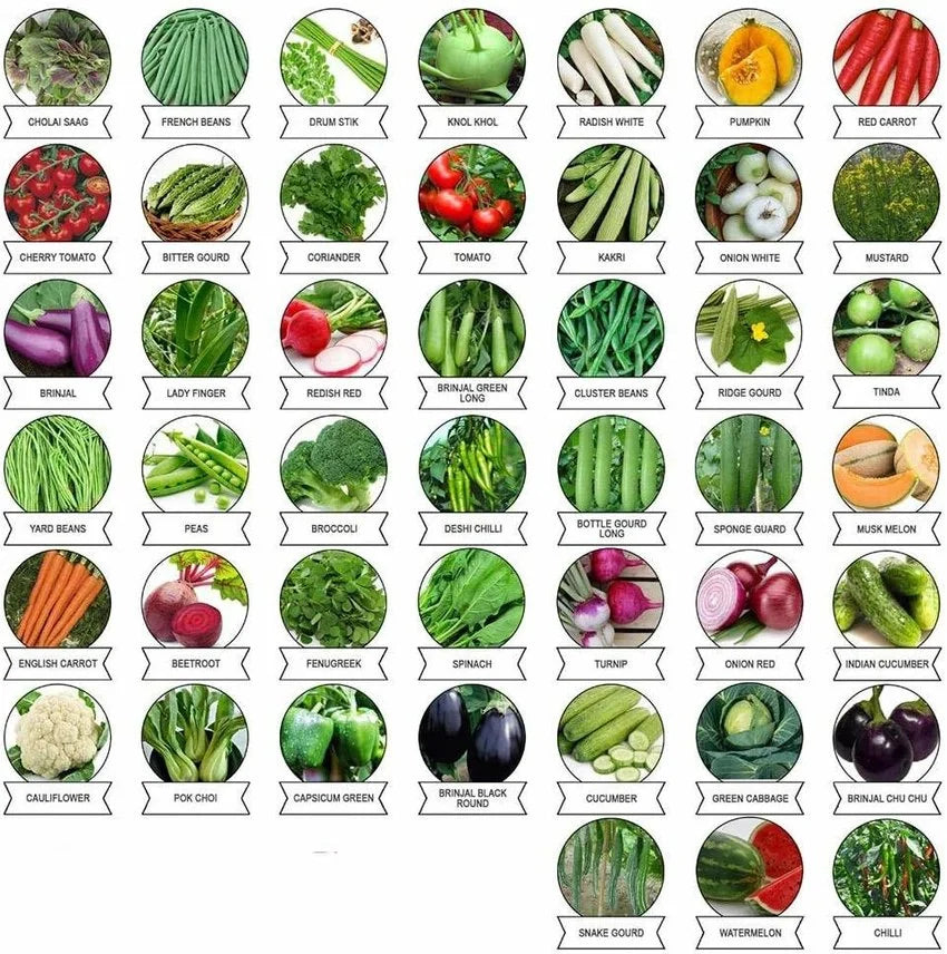 45 Vegetable Combo Pack -Vegetable Seeds Combo